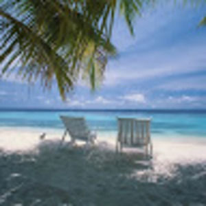 Meet your Posher, Kayce